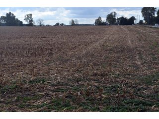 Property photo 34 - EHLE FARMS AUCTION - 118+/- ACRES IN 9 TRACTS IN ALLEN COUNTY, INDIANA